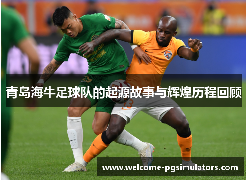 青岛海牛足球队的起源故事与辉煌历程回顾